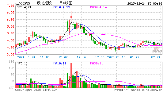 欣龙控股