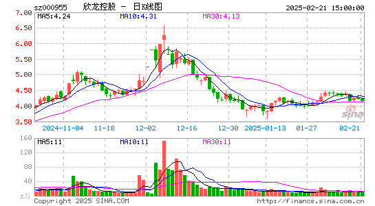 欣龙控股