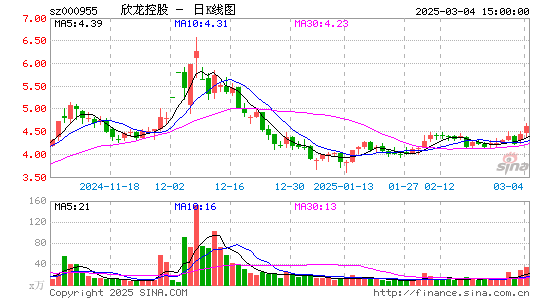 欣龙控股