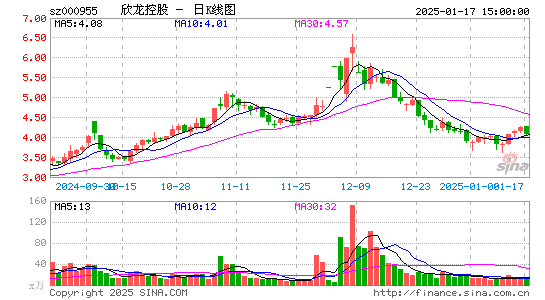 欣龙控股