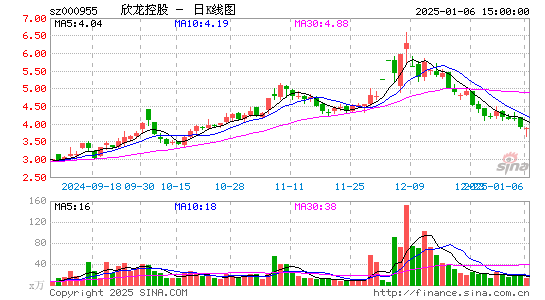 欣龙控股