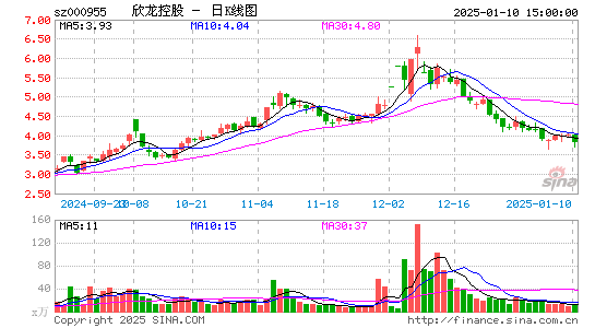 欣龙控股