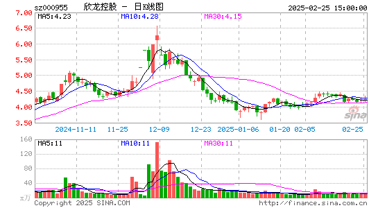 欣龙控股