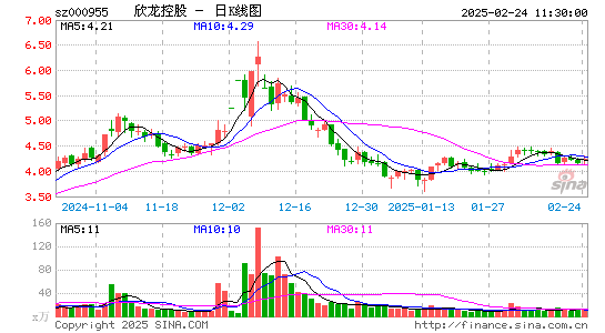 欣龙控股