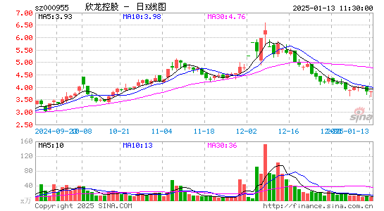 欣龙控股