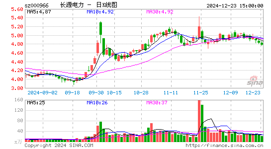 长源电力