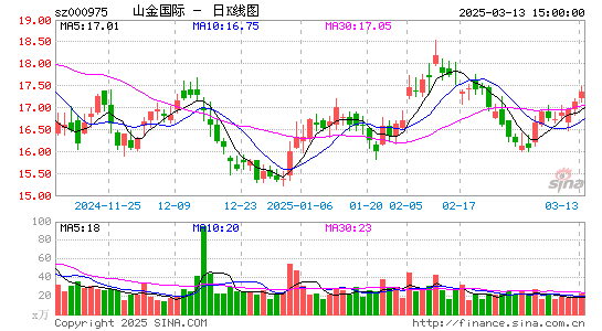 银泰黄金