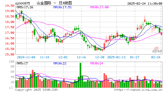 银泰黄金