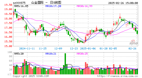 银泰黄金