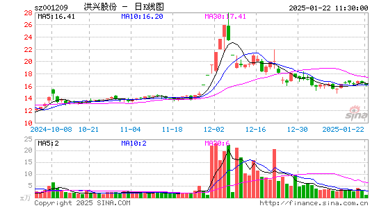 洪兴股份