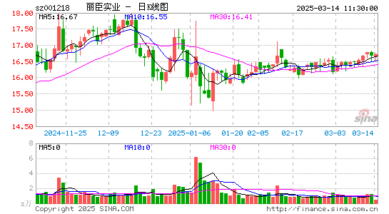 丽臣实业