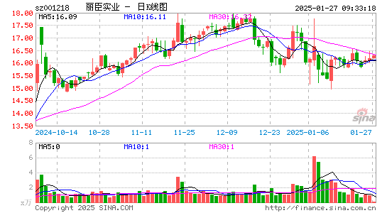 丽臣实业