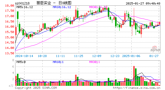 丽臣实业