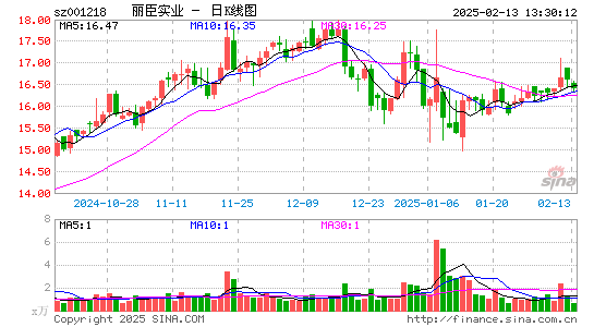 丽臣实业