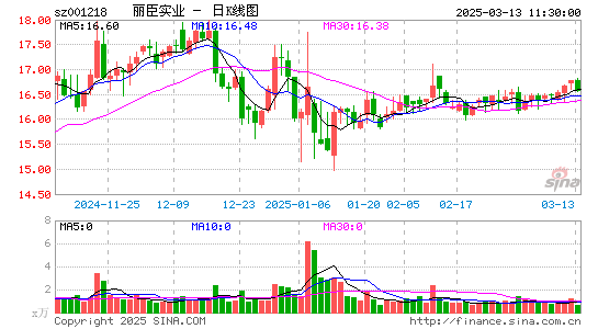 丽臣实业