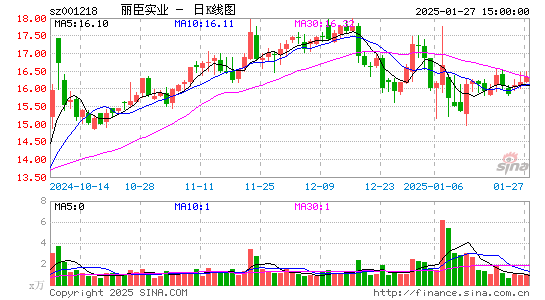 丽臣实业