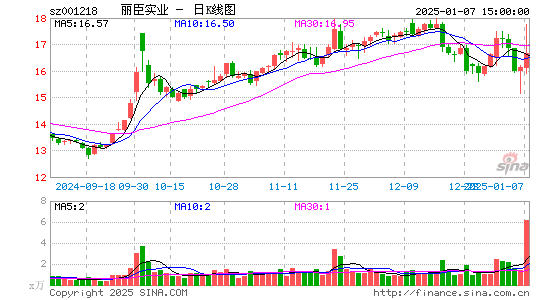 丽臣实业