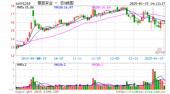 丽臣实业