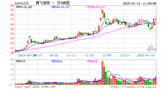 源飞宠物