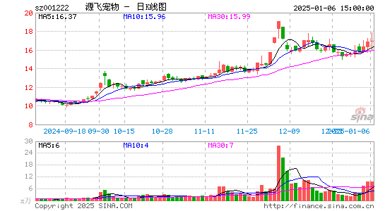 源飞宠物