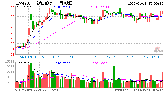 浙江正特