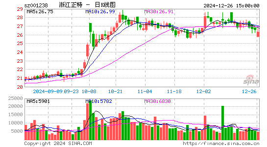 浙江正特