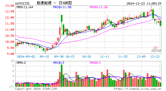 胜通能源