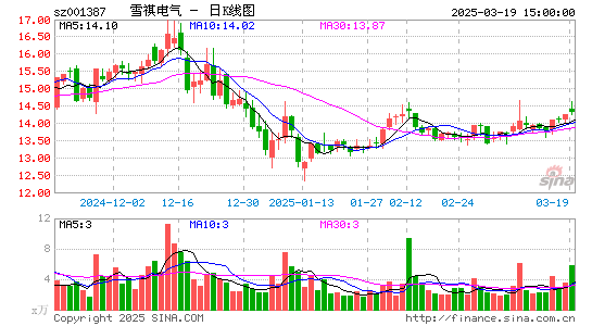 雪祺电气