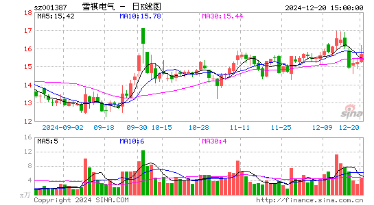 雪祺电气