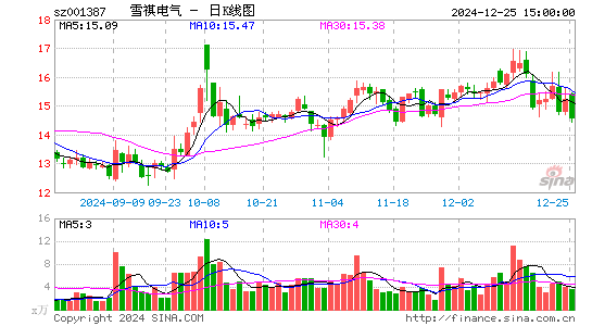 雪祺电气