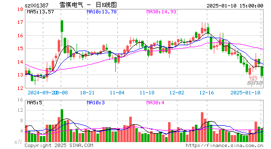 雪祺电气