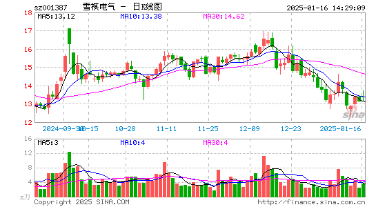 雪祺电气