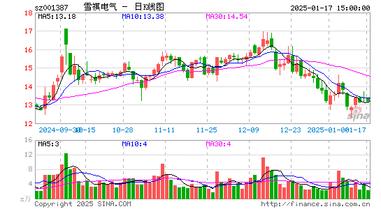 雪祺电气