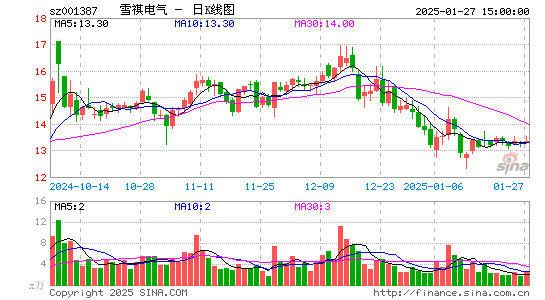 雪祺电气