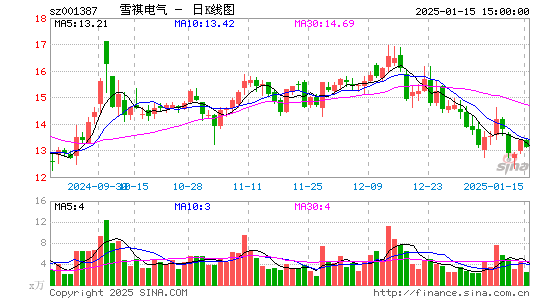 雪祺电气