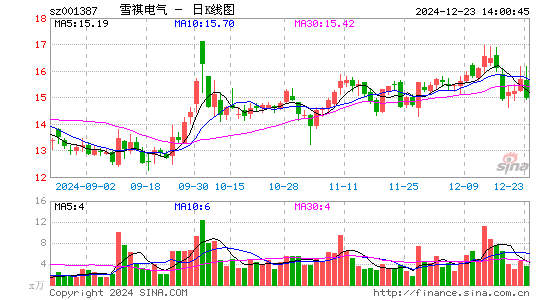 雪祺电气