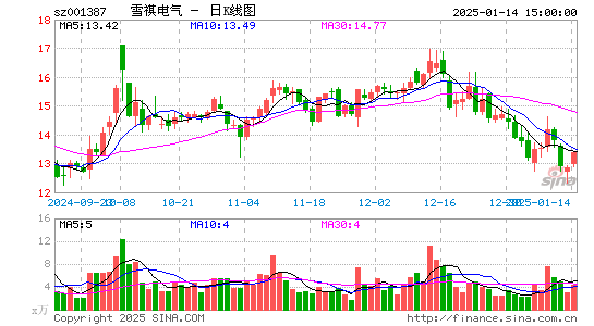 雪祺电气