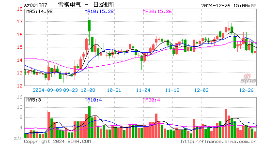 雪祺电气