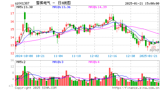 雪祺电气