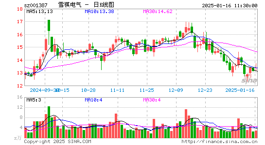 雪祺电气