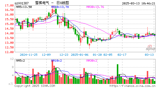 雪祺电气