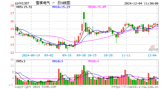 雪祺电气