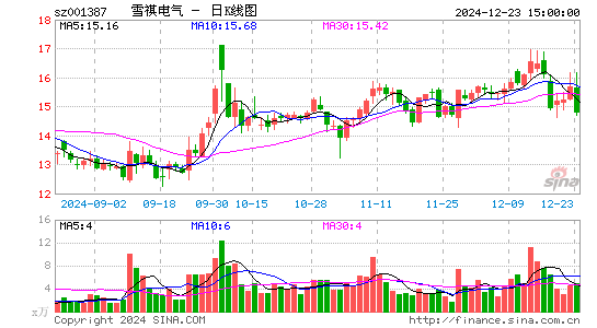 雪祺电气