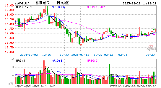 雪祺电气