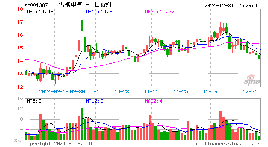 雪祺电气