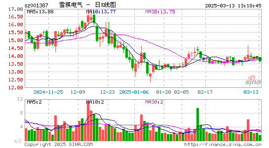 雪祺电气