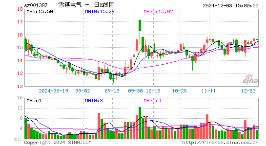 雪祺电气