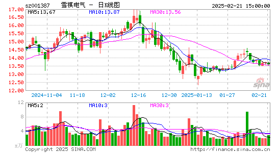 雪祺电气