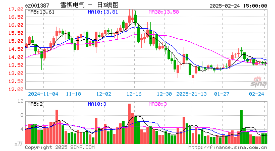 雪祺电气