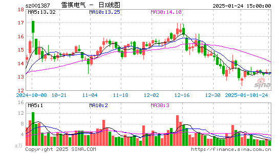 雪祺电气